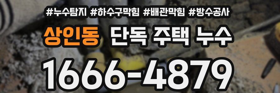 상인동 단독 주택 누수