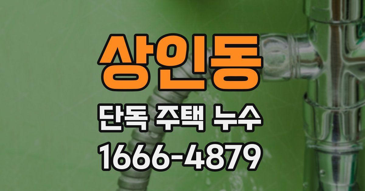 상인동 단독 주택 누수