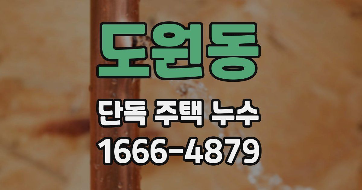 도원동 단독 주택 누수