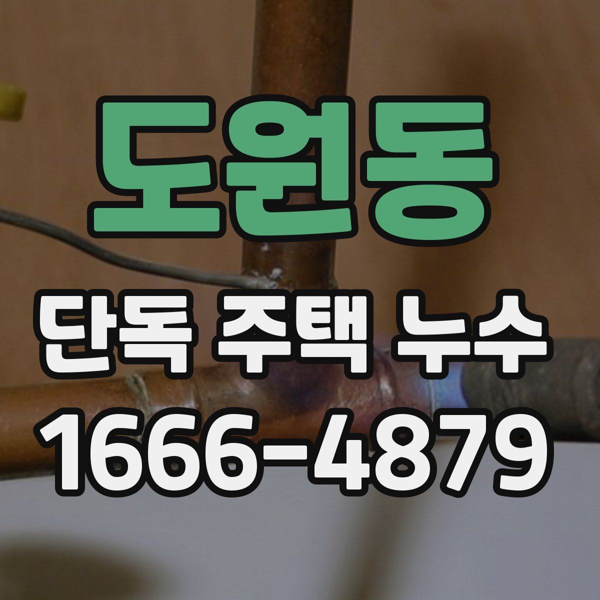 도원동 단독 주택 누수