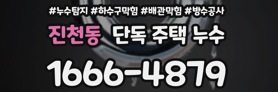 진천동 단독 주택 누수