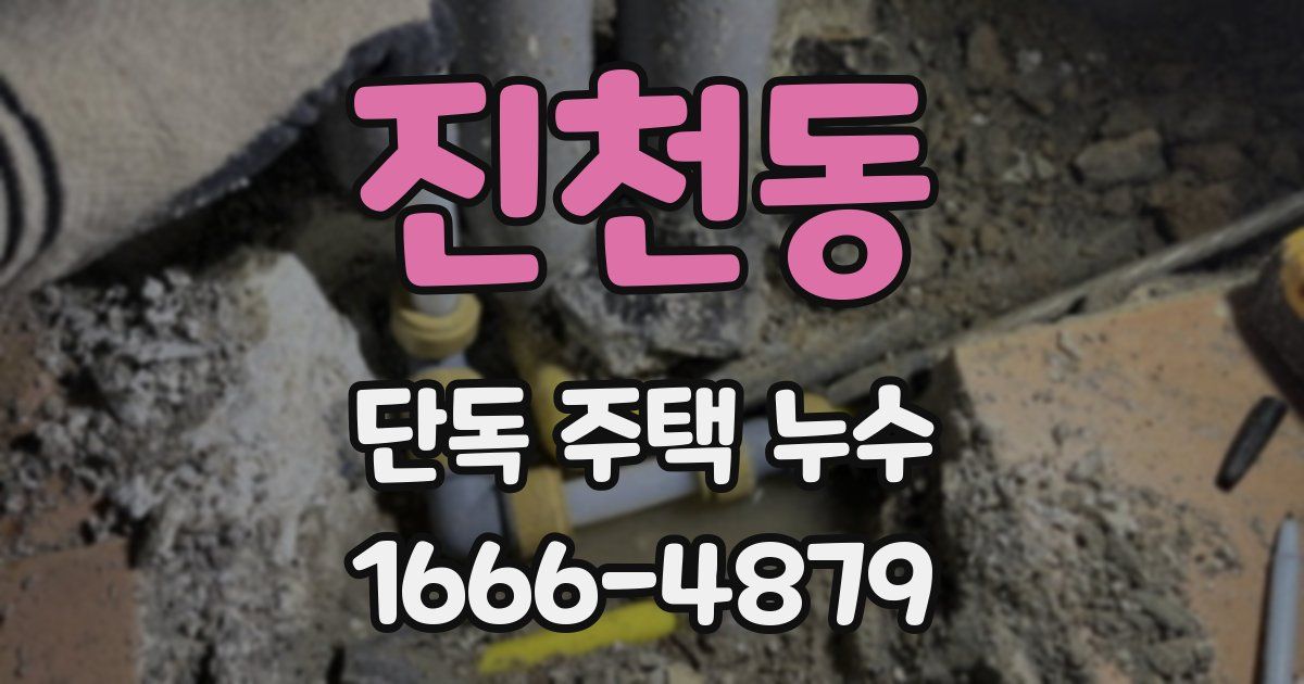 진천동 단독 주택 누수