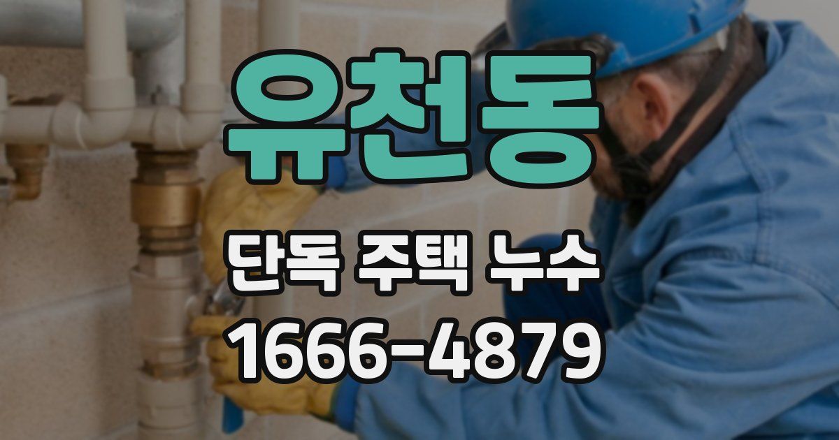 유천동 단독 주택 누수
