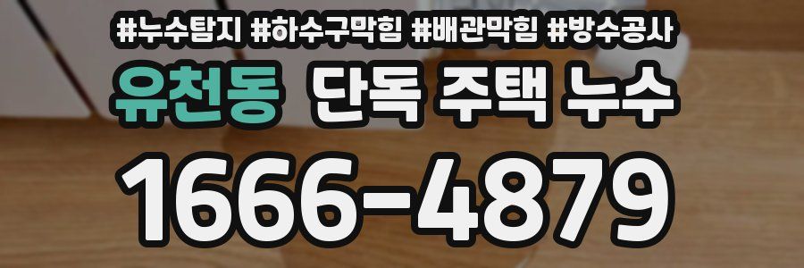 유천동 단독 주택 누수