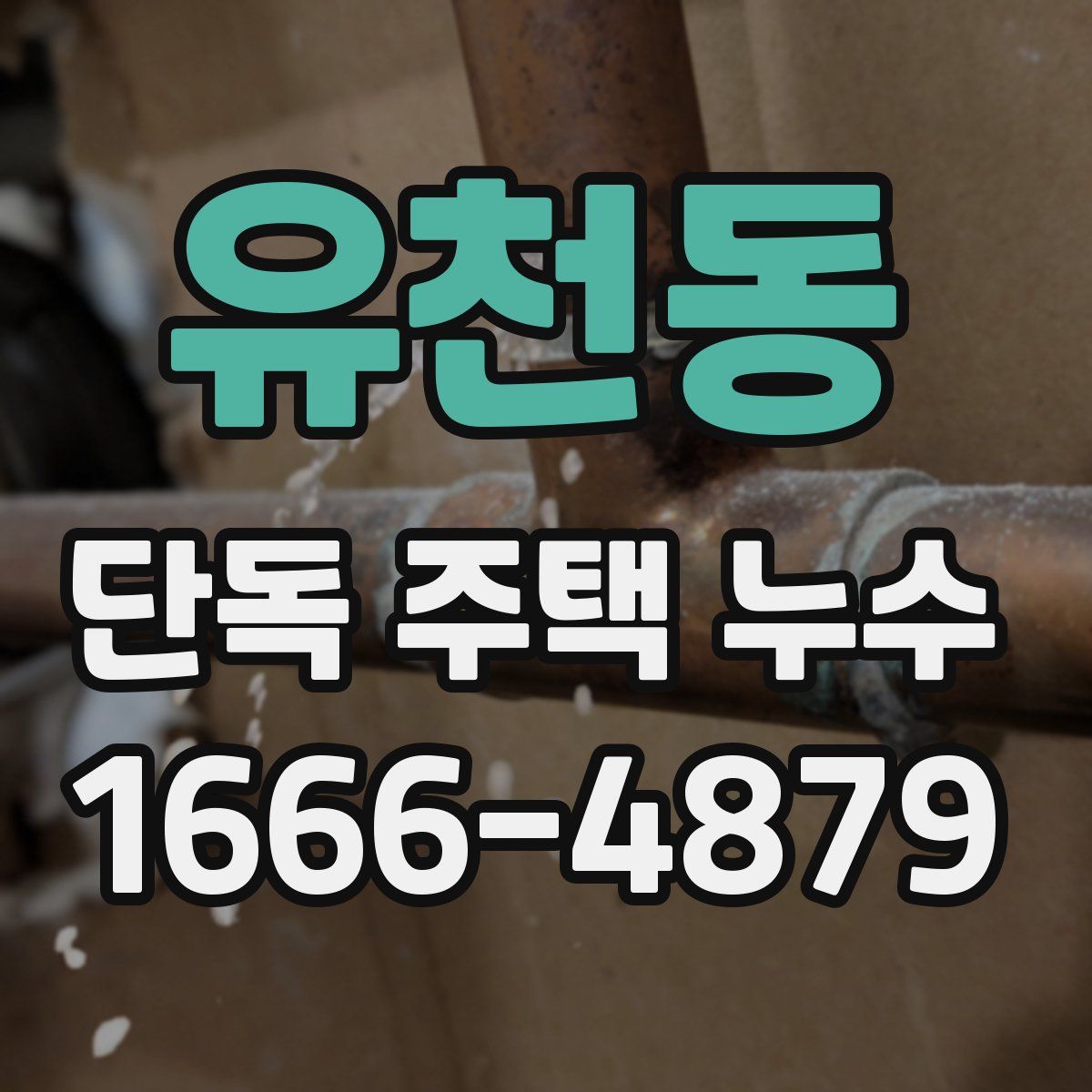 유천동 단독 주택 누수
