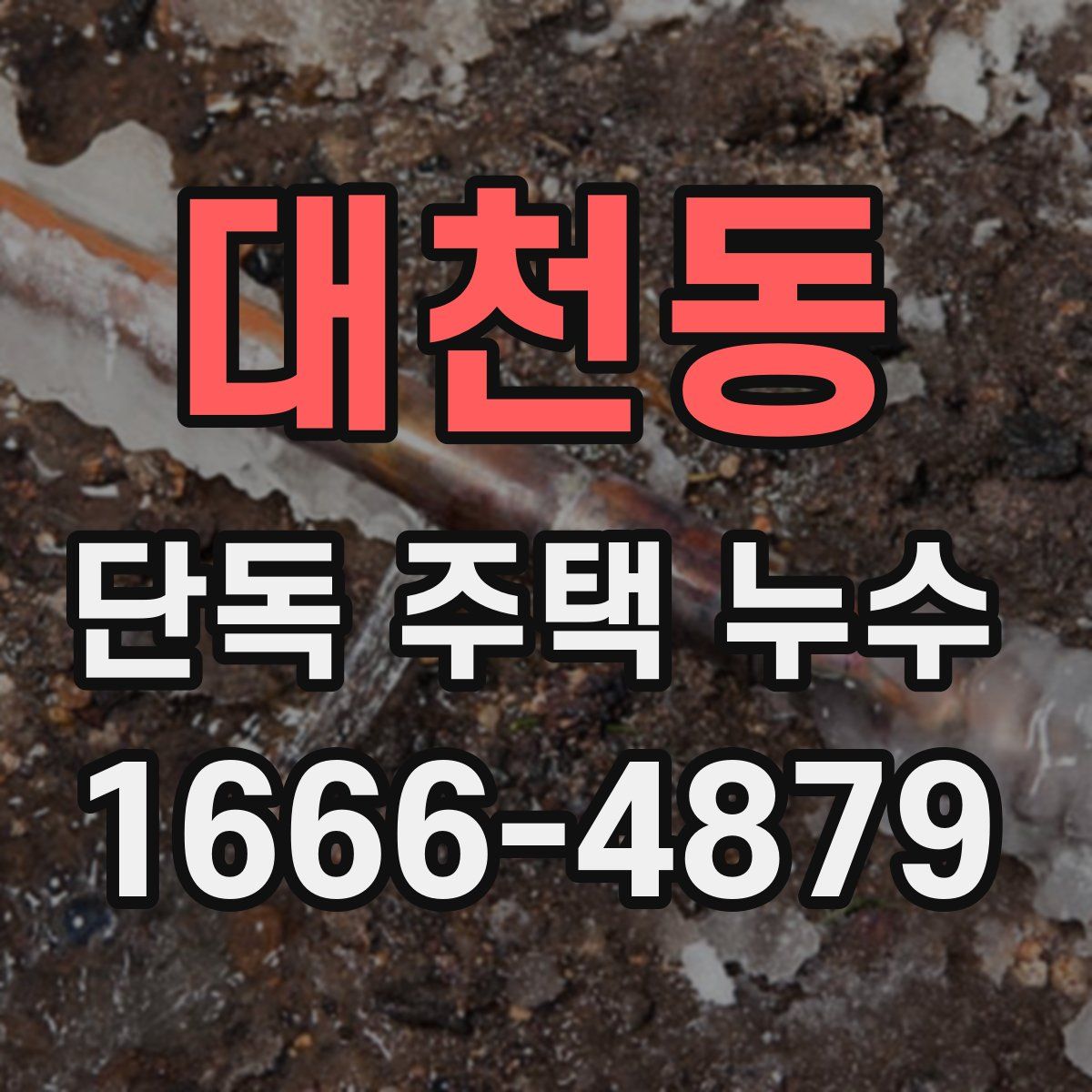 대천동 단독 주택 누수