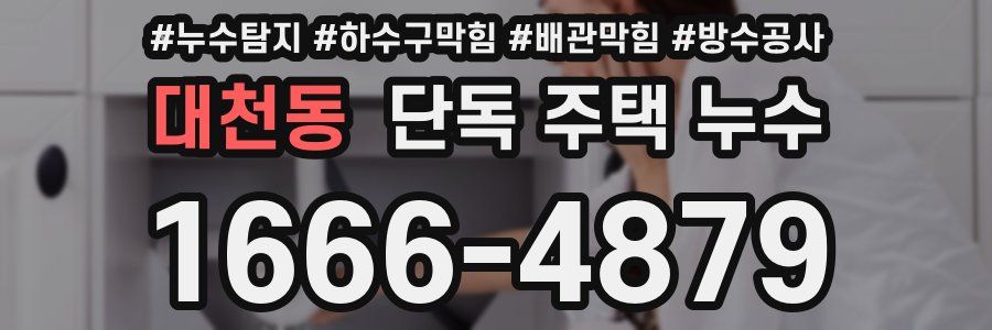 대천동 단독 주택 누수