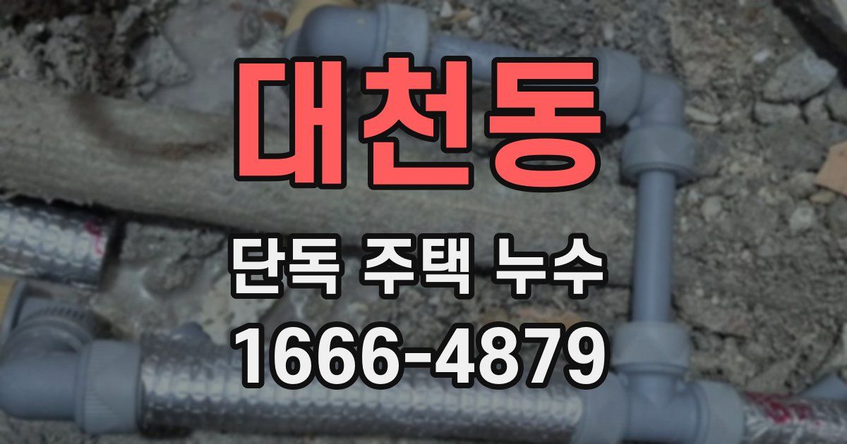 대천동 단독 주택 누수