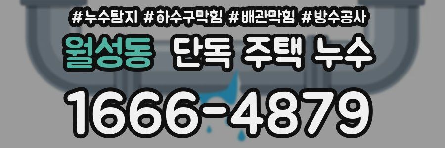 월성동 단독 주택 누수