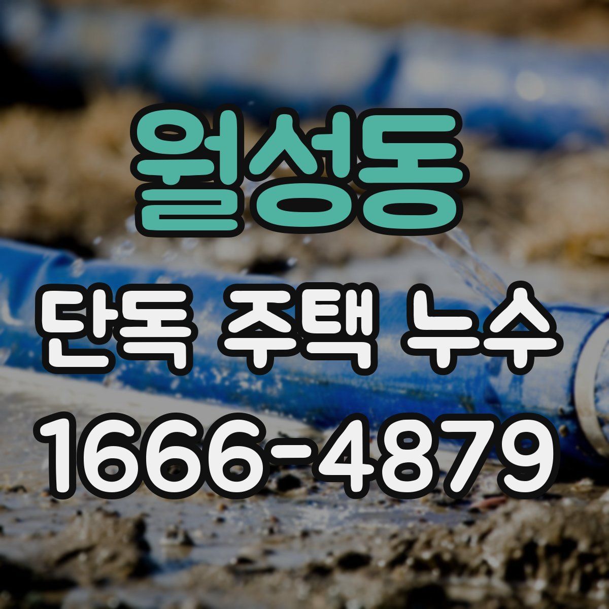 월성동 단독 주택 누수