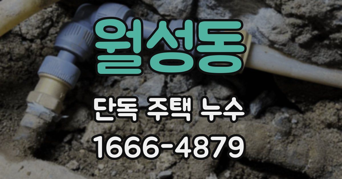 월성동 단독 주택 누수