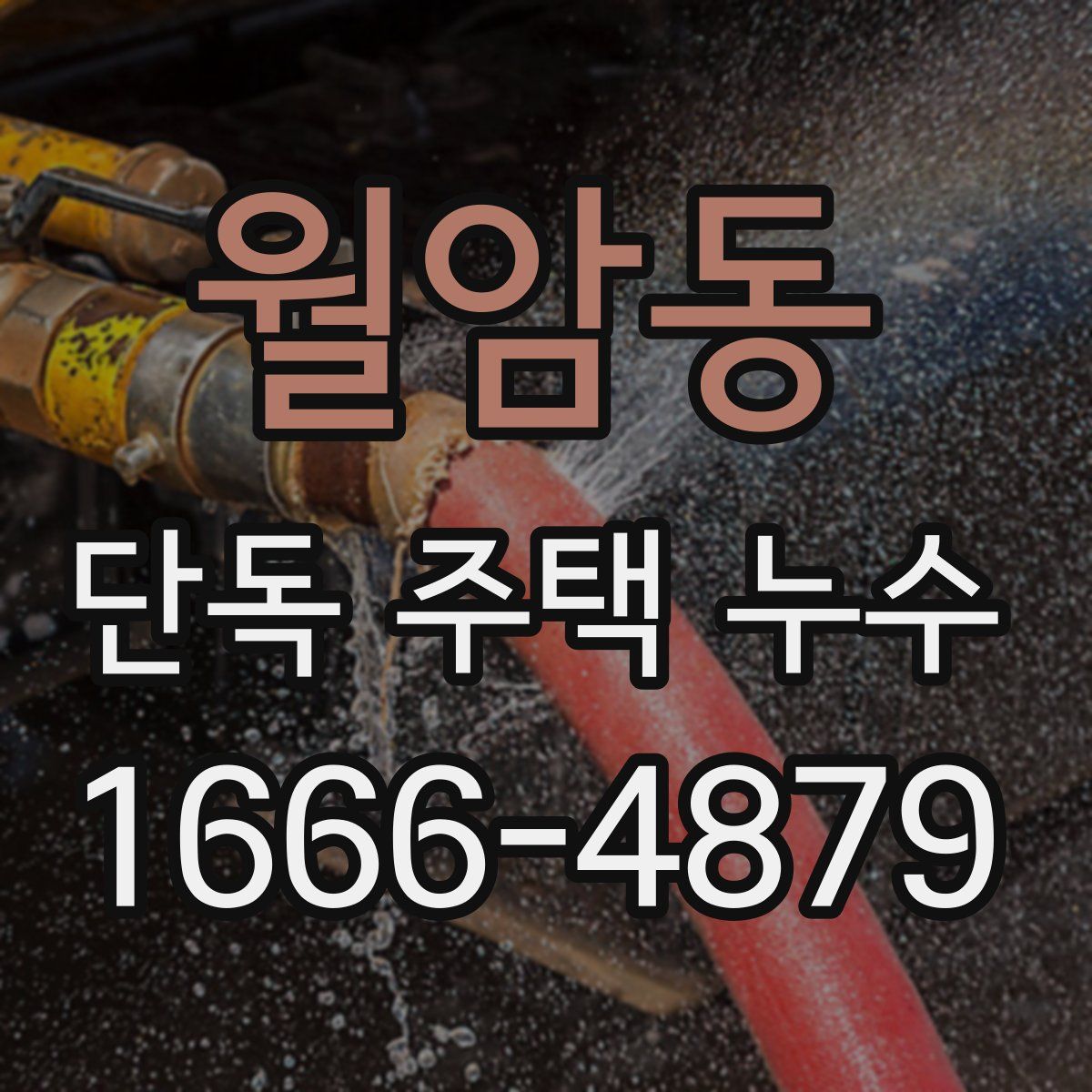 월암동 단독 주택 누수