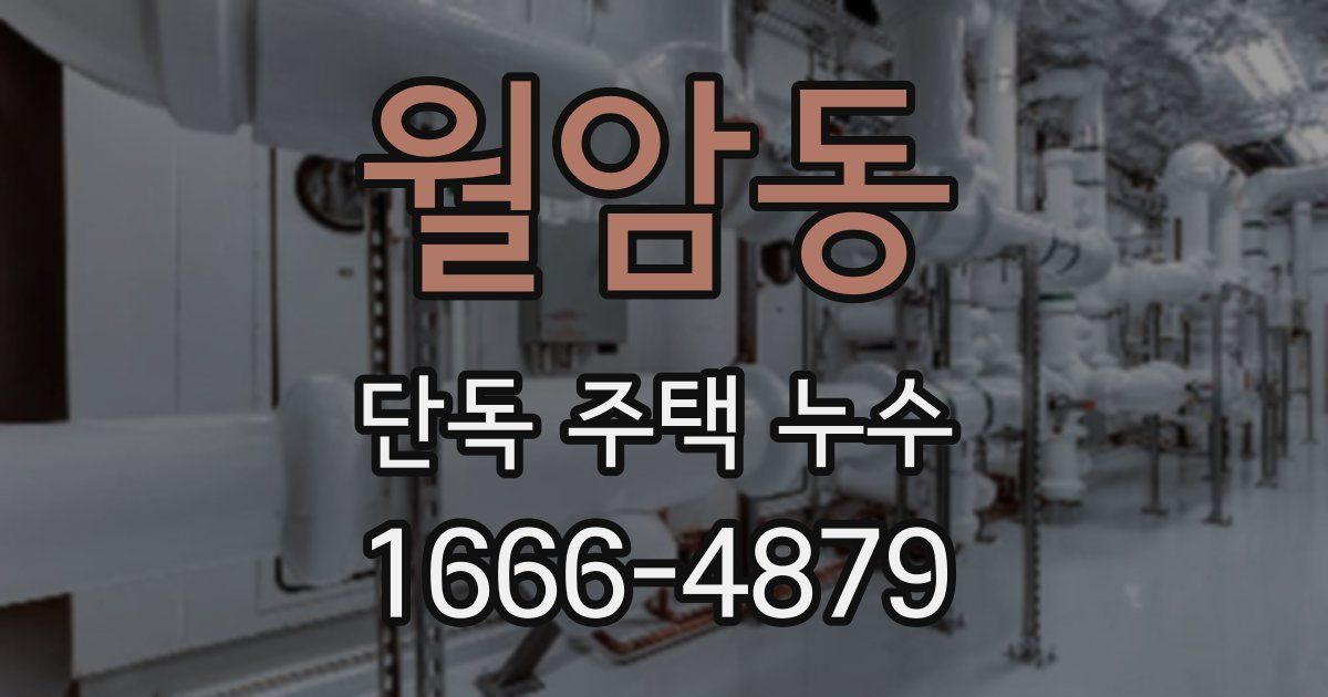 월암동 단독 주택 누수