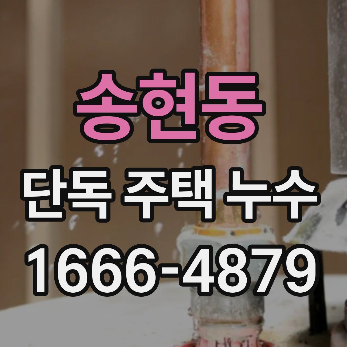 송현동 단독 주택 누수