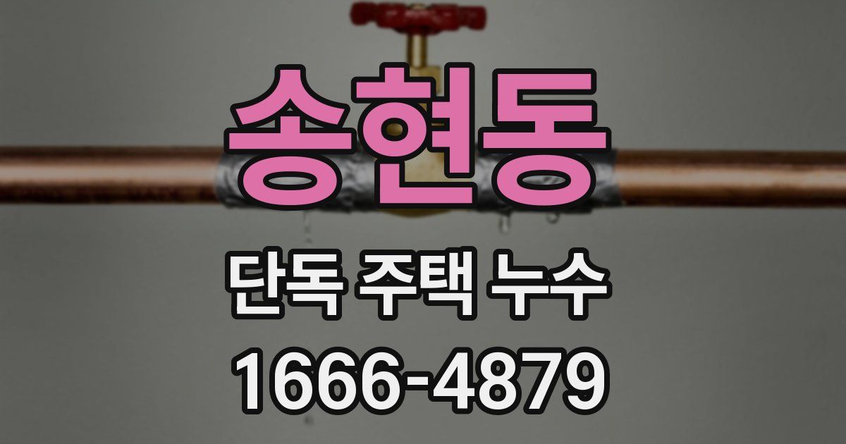 송현동 단독 주택 누수