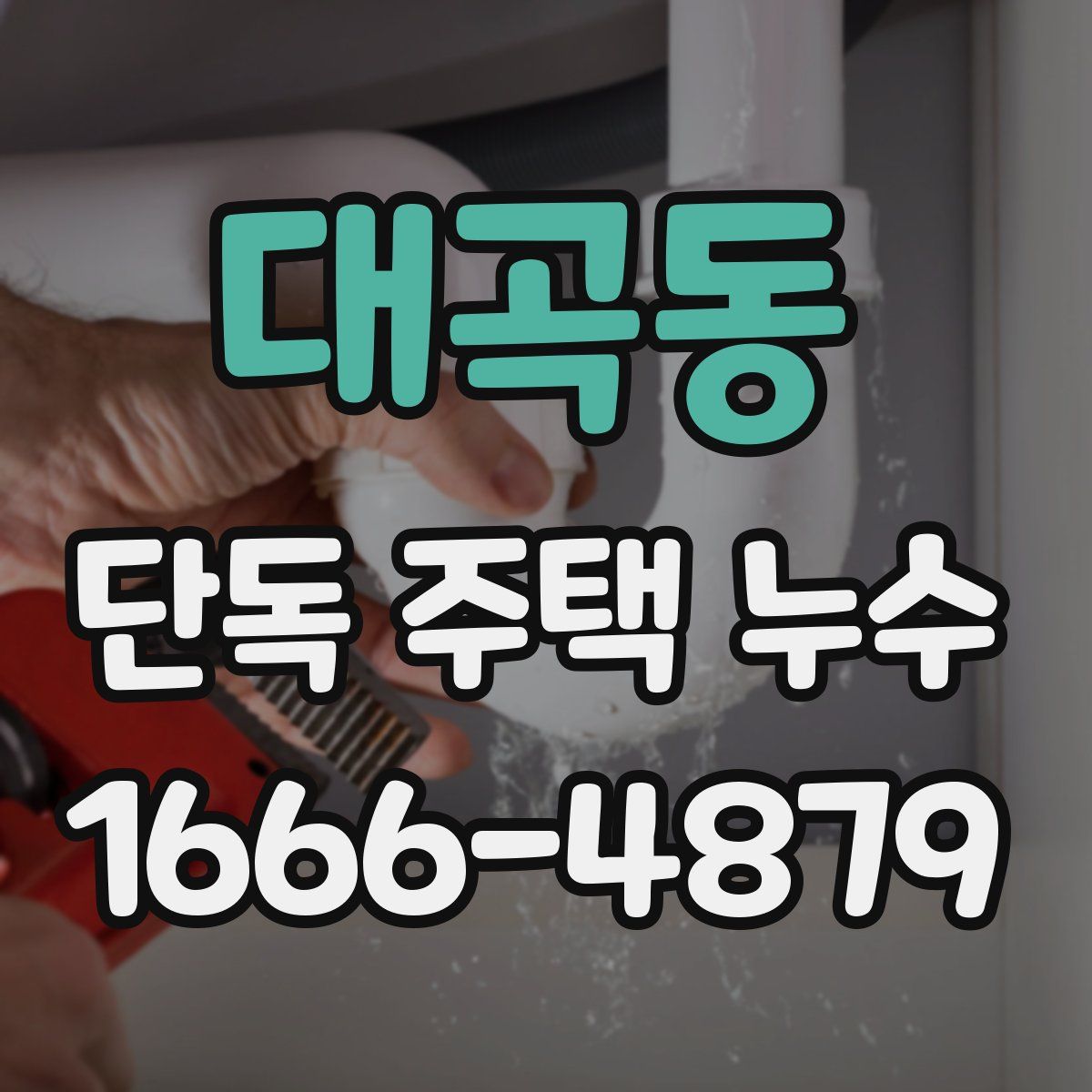 대곡동 단독 주택 누수