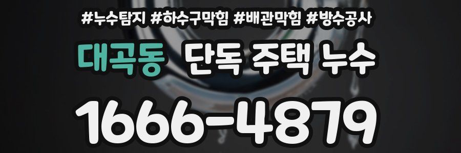 대곡동 단독 주택 누수
