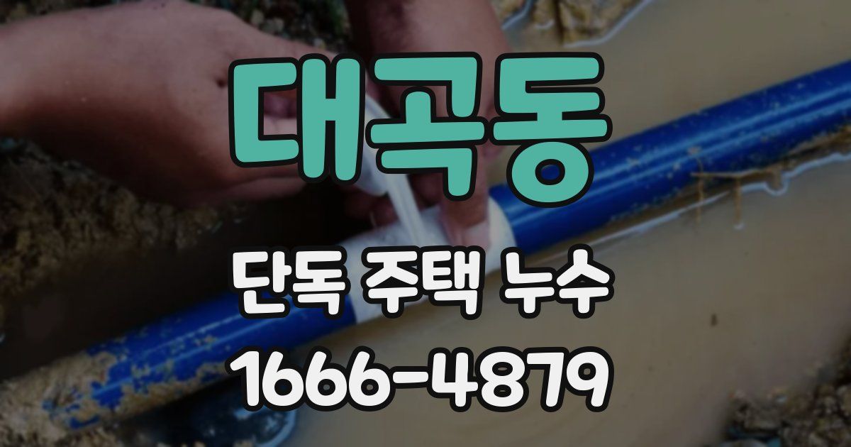 대곡동 단독 주택 누수
