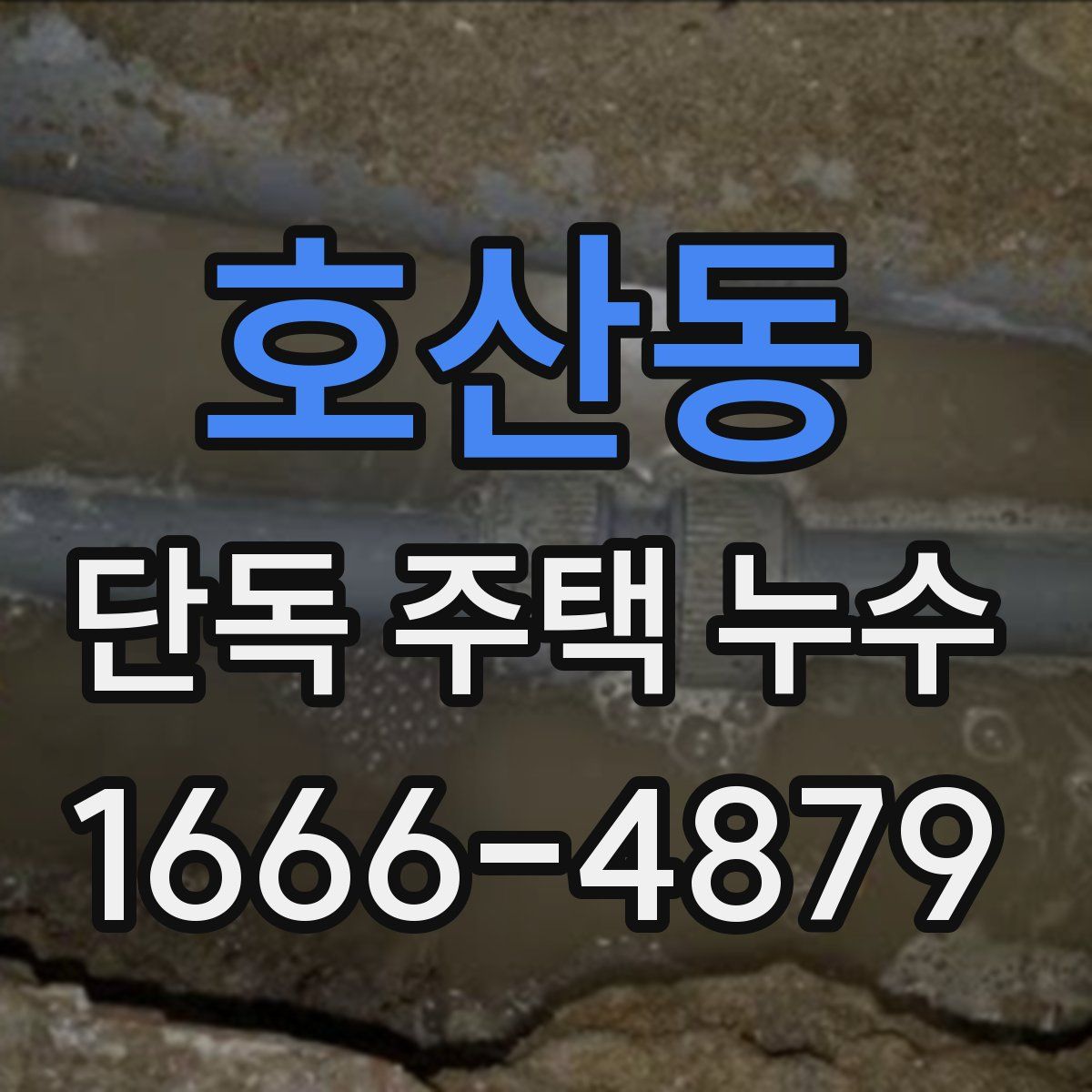 호산동 단독 주택 누수