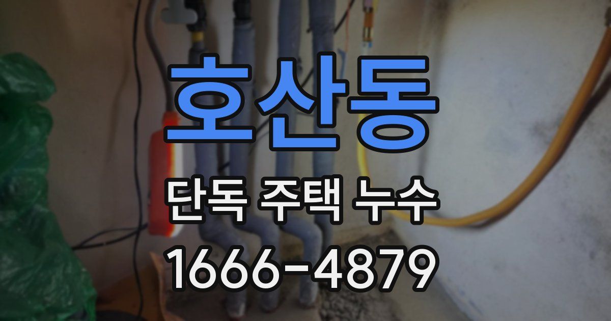 호산동 단독 주택 누수