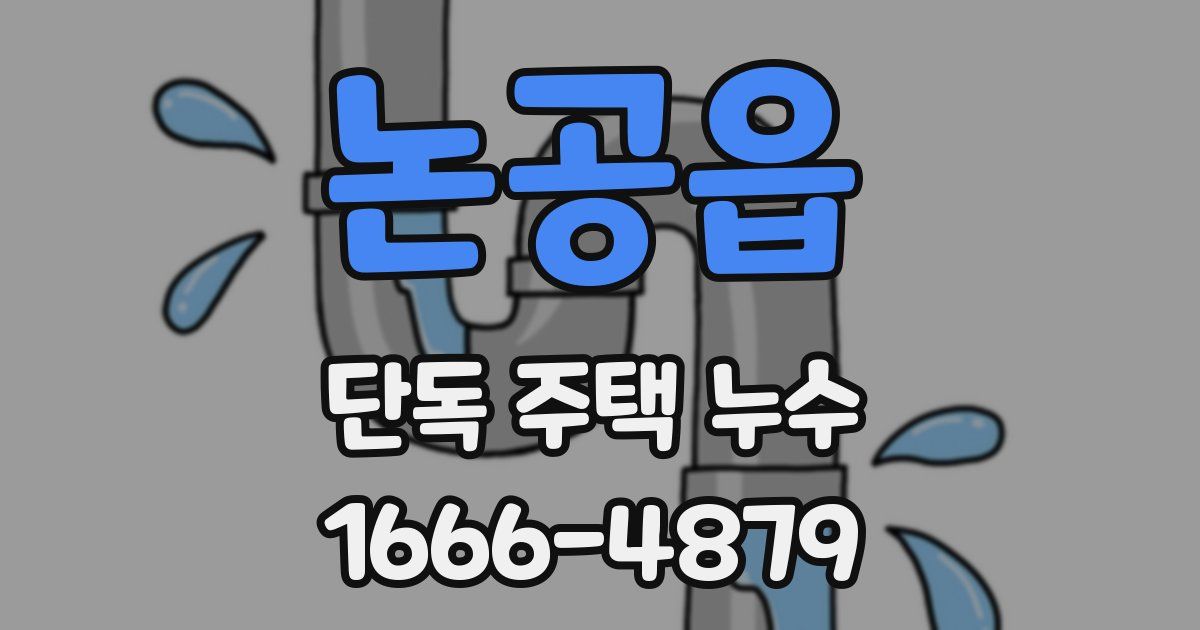 논공읍 단독 주택 누수