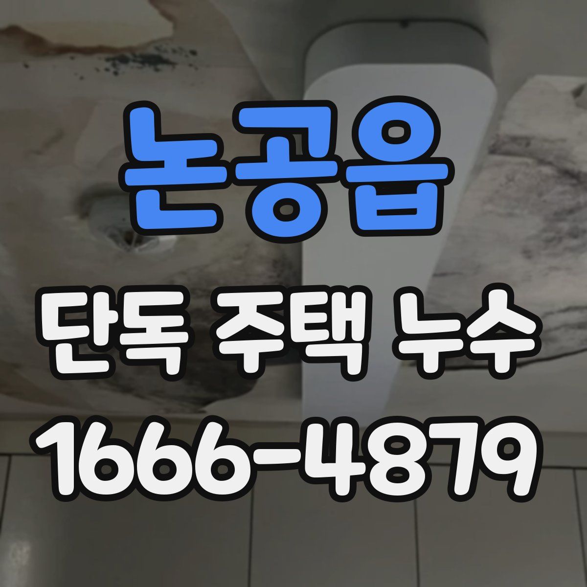 논공읍 단독 주택 누수