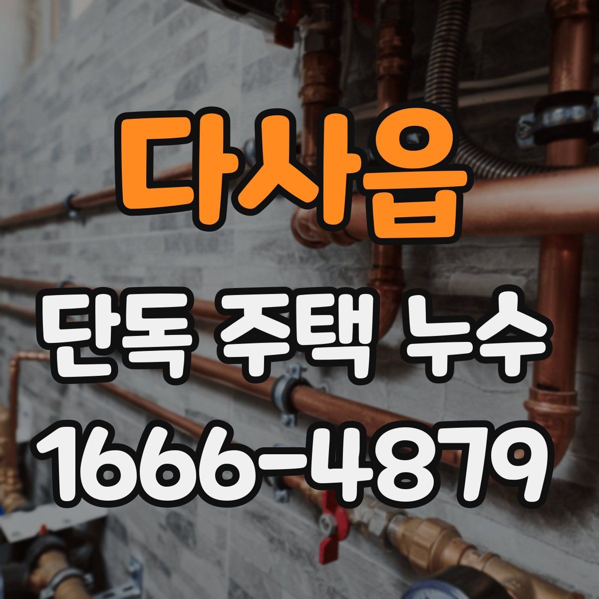 다사읍 단독 주택 누수