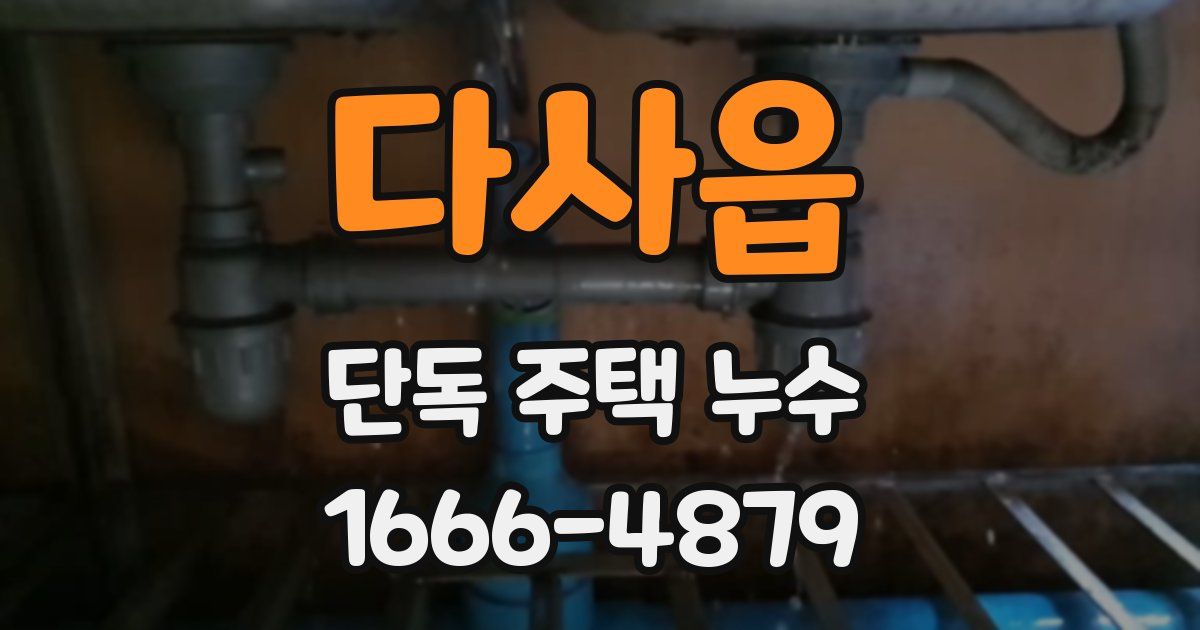 다사읍 단독 주택 누수