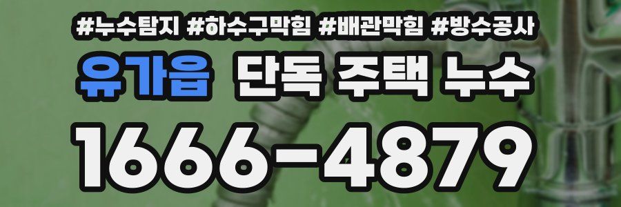 유가읍 단독 주택 누수