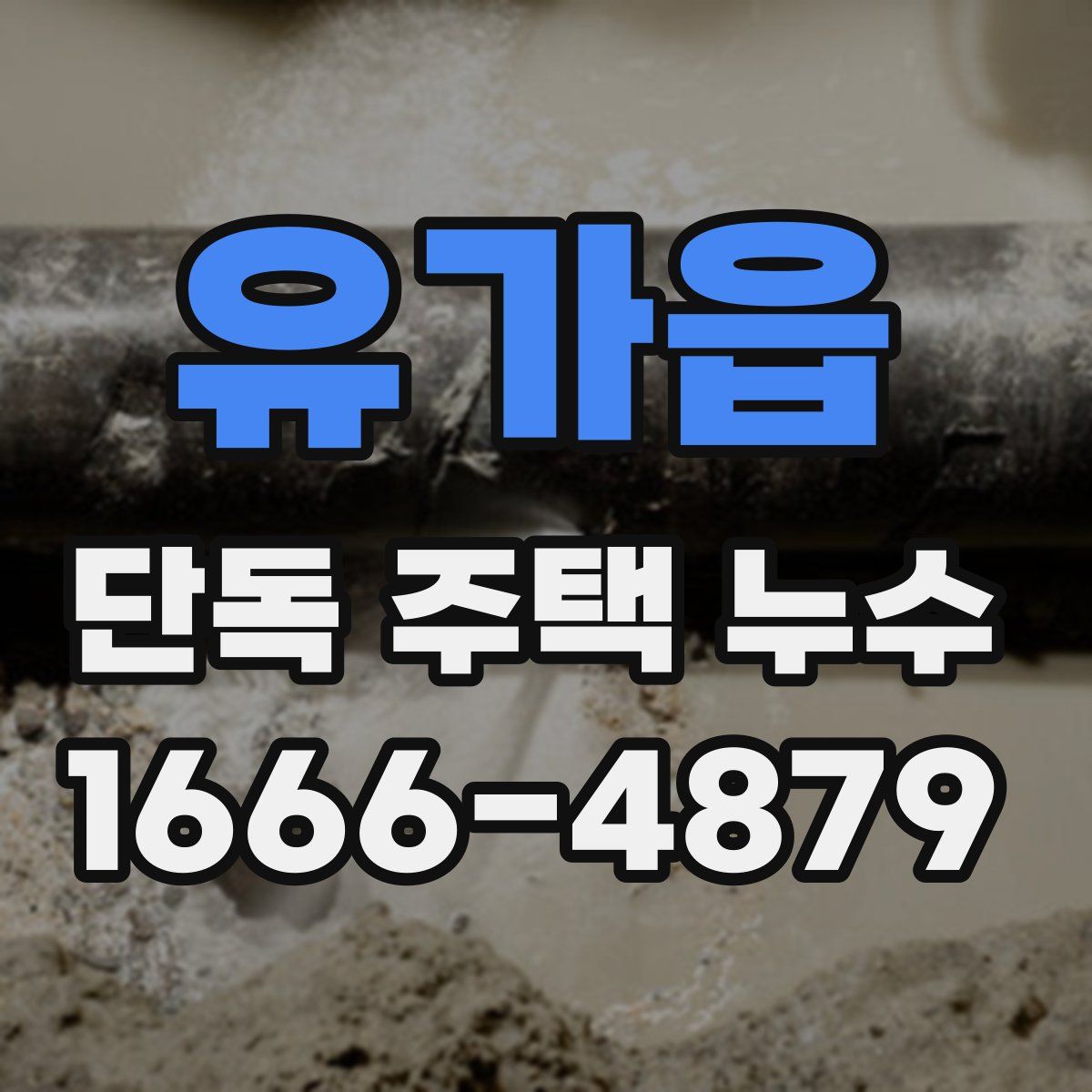 유가읍 단독 주택 누수