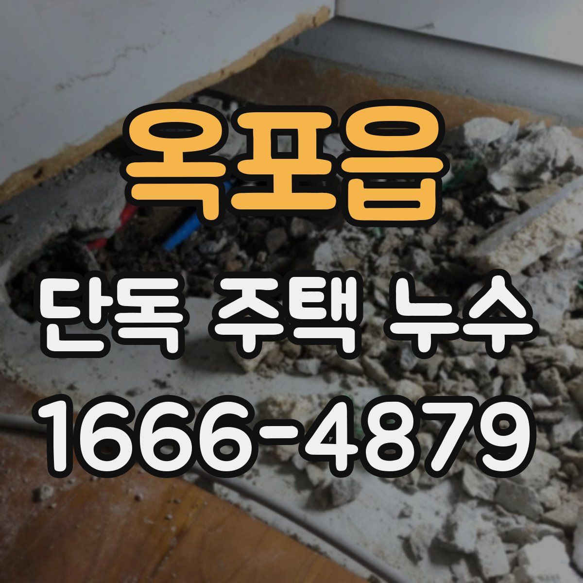 옥포읍 단독 주택 누수