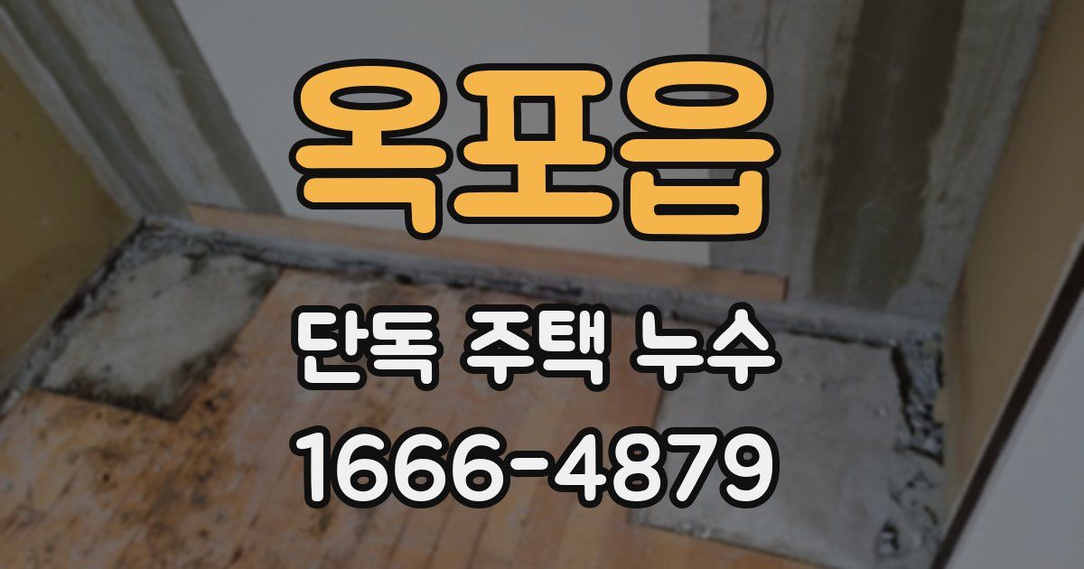 옥포읍 단독 주택 누수
