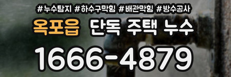 옥포읍 단독 주택 누수