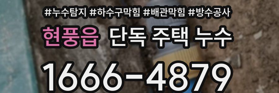 현풍읍 단독 주택 누수