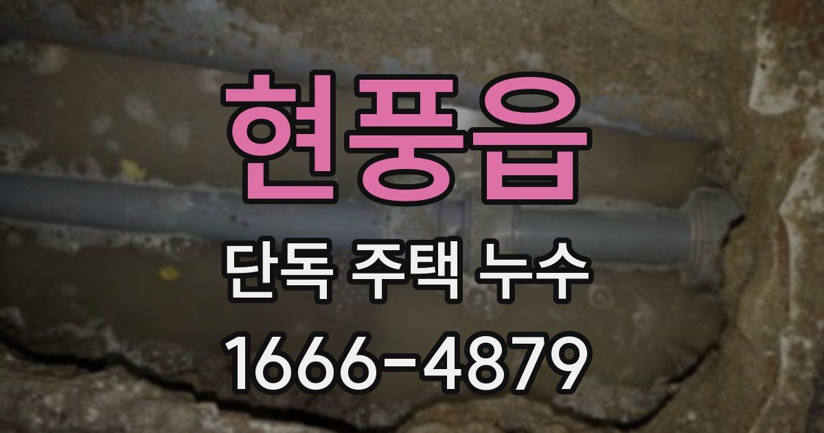 현풍읍 단독 주택 누수