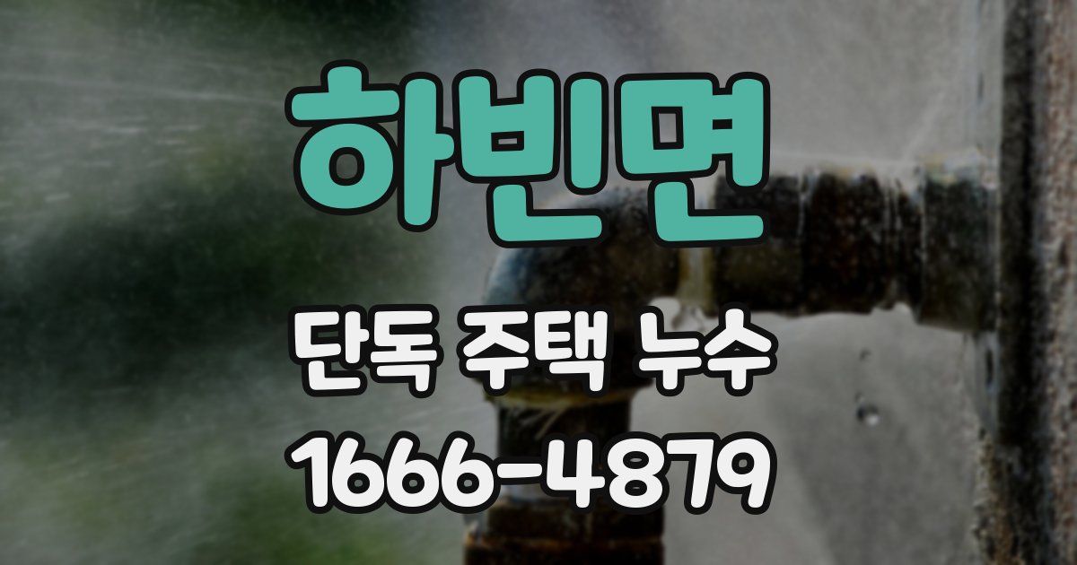 하빈면 단독 주택 누수