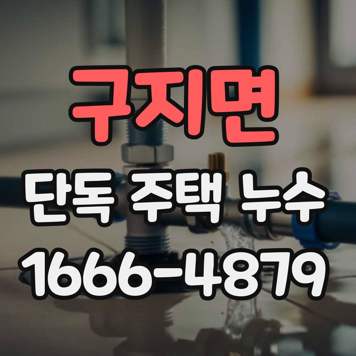 구지면 단독 주택 누수