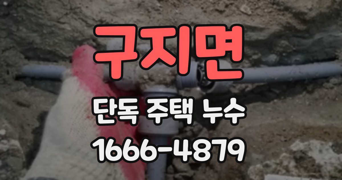 구지면 단독 주택 누수