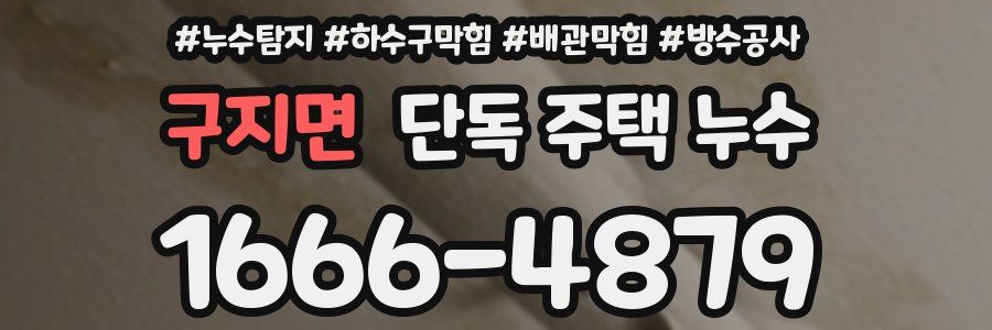 구지면 단독 주택 누수