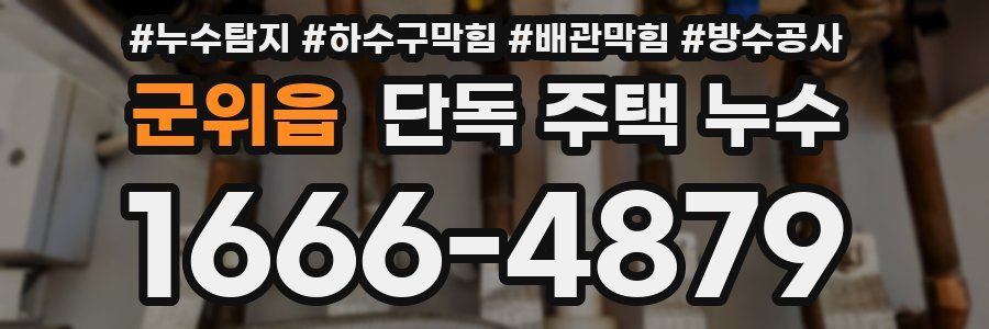 군위읍 단독 주택 누수