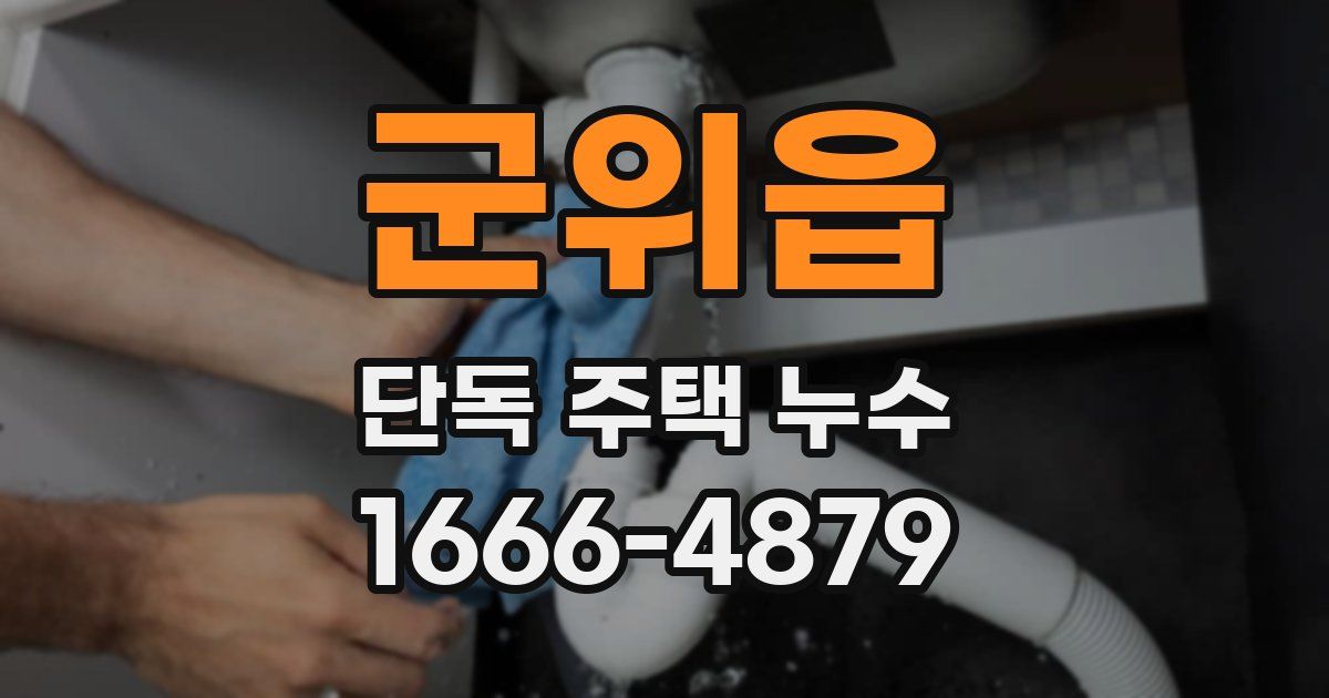 군위읍 단독 주택 누수
