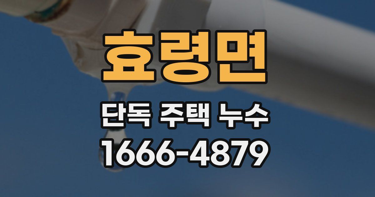 효령면 단독 주택 누수