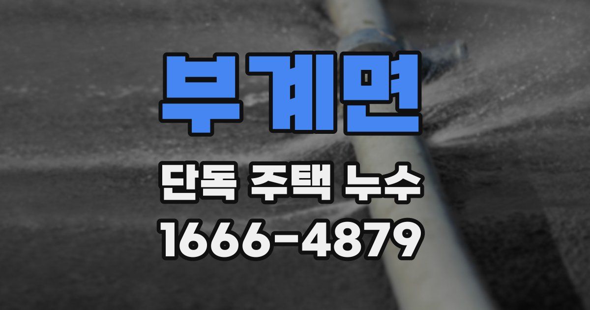 부계면 단독 주택 누수