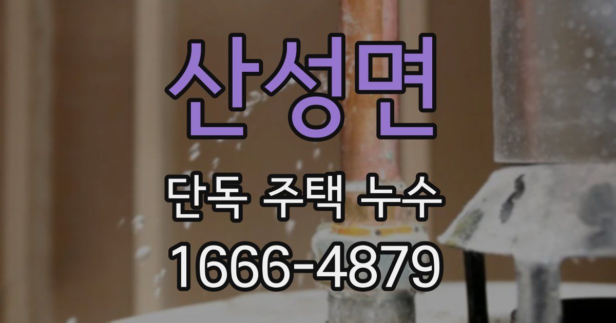 산성면 단독 주택 누수