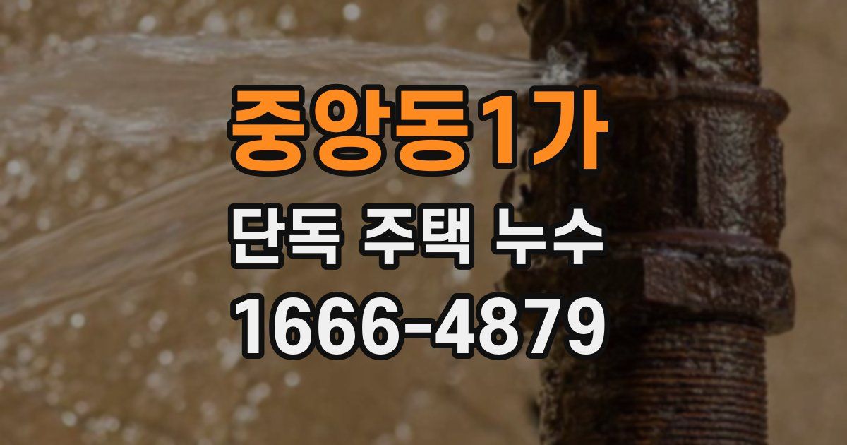 중앙동1가 단독 주택 누수