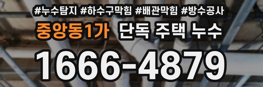 중앙동1가 단독 주택 누수