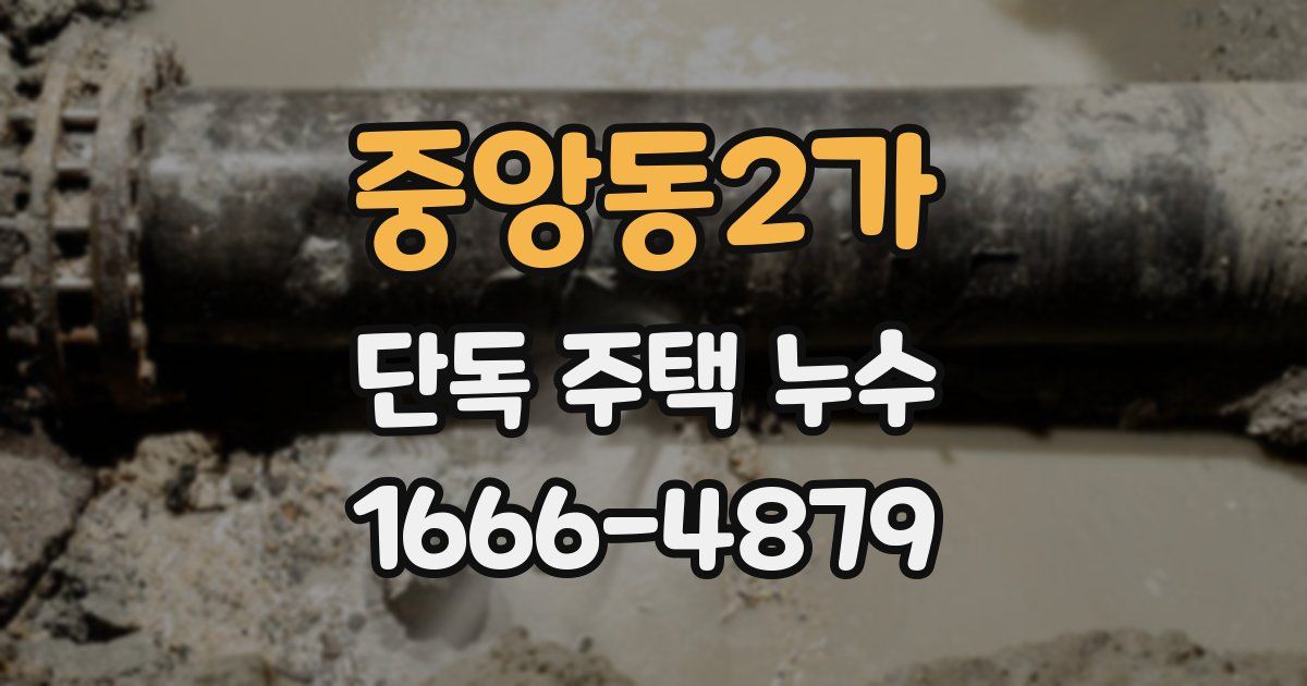 중앙동2가 단독 주택 누수