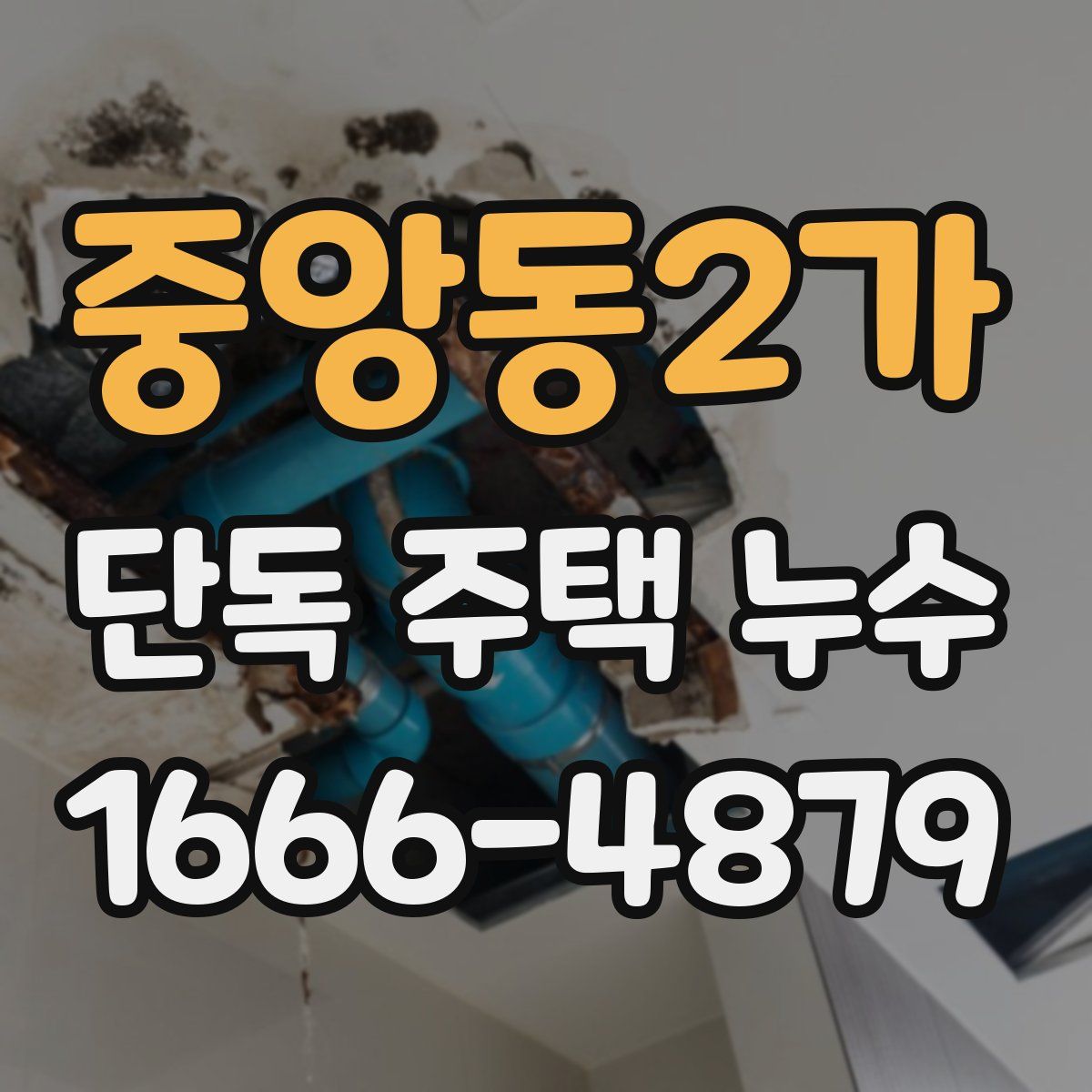 중앙동2가 단독 주택 누수