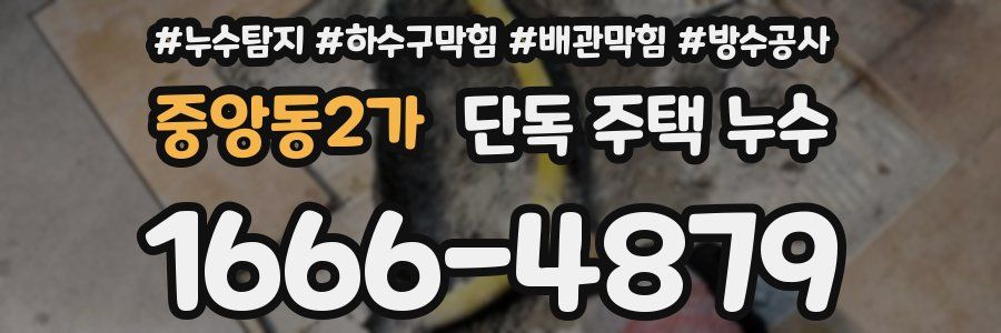 중앙동2가 단독 주택 누수