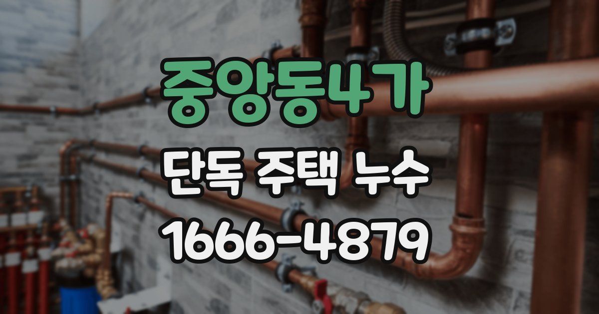 중앙동4가 단독 주택 누수